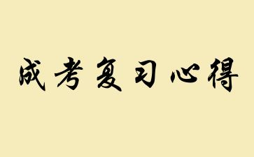 2024年山东成人高考英语复习心得总结