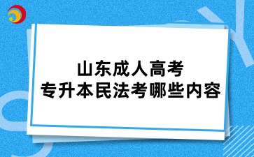 山东成人高考专升本民法