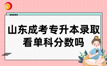 山东成考专升本录取看单科分数吗