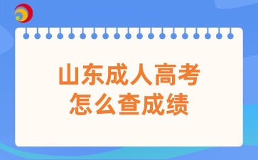 山东成人高考怎么查成绩