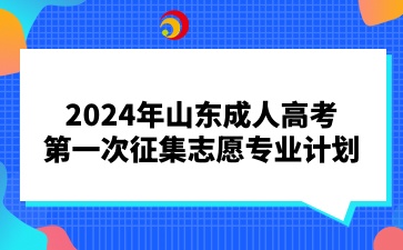 2024年山东成人高考第一次征集志愿专业计划