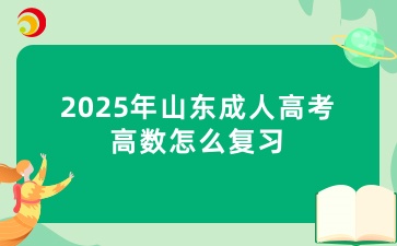 2025年山东成人高考高数怎么复习