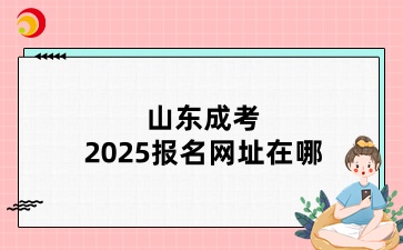 山东成考2025报名网址在哪